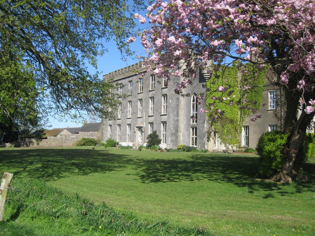 Ash Hill B & B Kilmallock Экстерьер фото