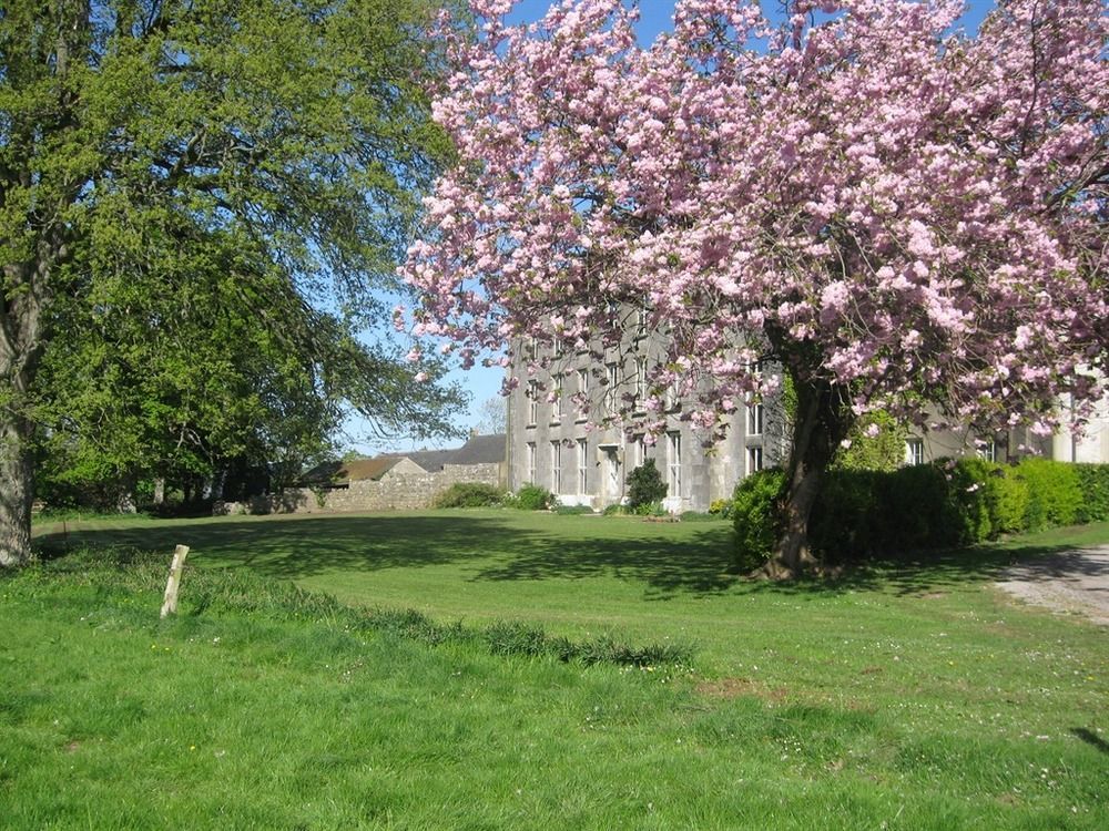 Ash Hill B & B Kilmallock Экстерьер фото