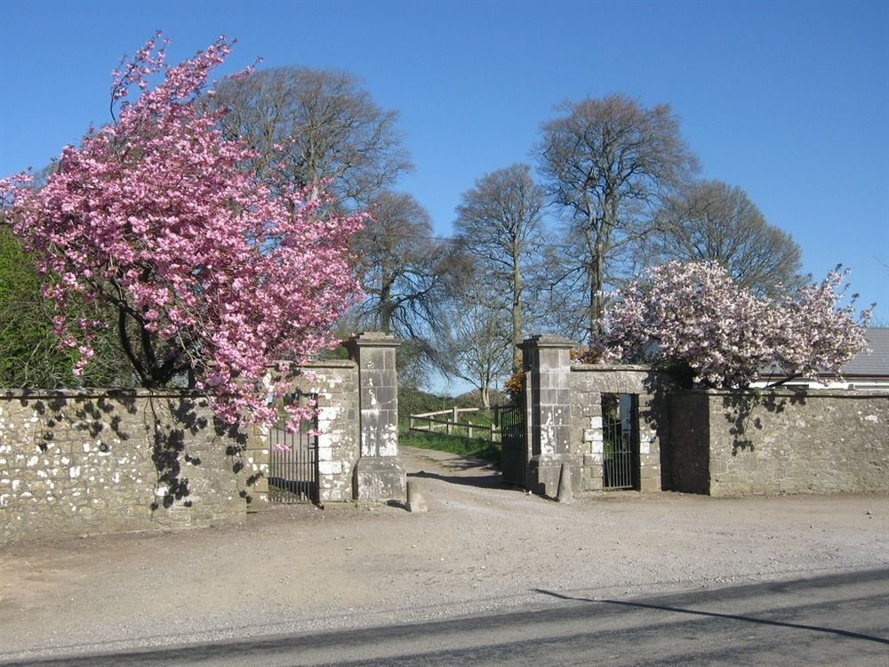 Ash Hill B & B Kilmallock Экстерьер фото
